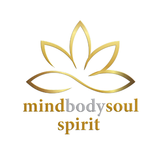 Mind Body Soul – Academy